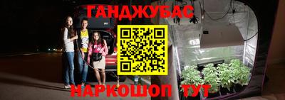 гидра Ливны